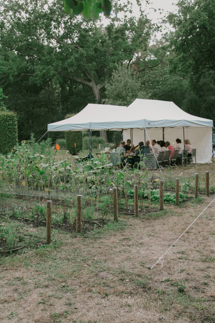 Extra foto van Voyage Fromage - Kaas & Wijn in de Pluktuin
