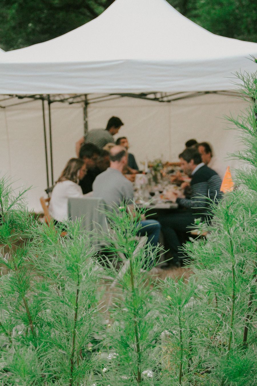 Extra foto van Voyage Fromage - Kaas & Wijn in de Pluktuin